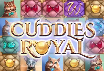 Cuddles Royal